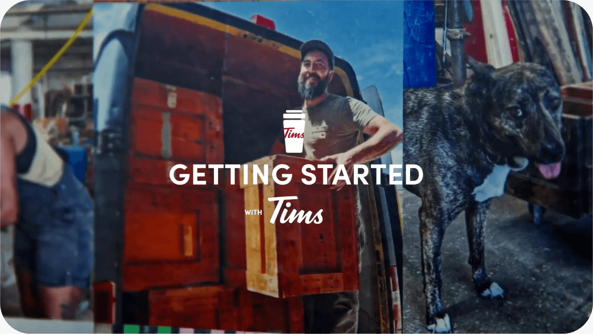 Getting Started with Tims